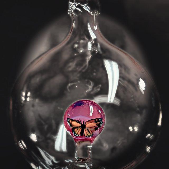 Clear hanging orb with a pink glass marble showing a monarch butterfly wing